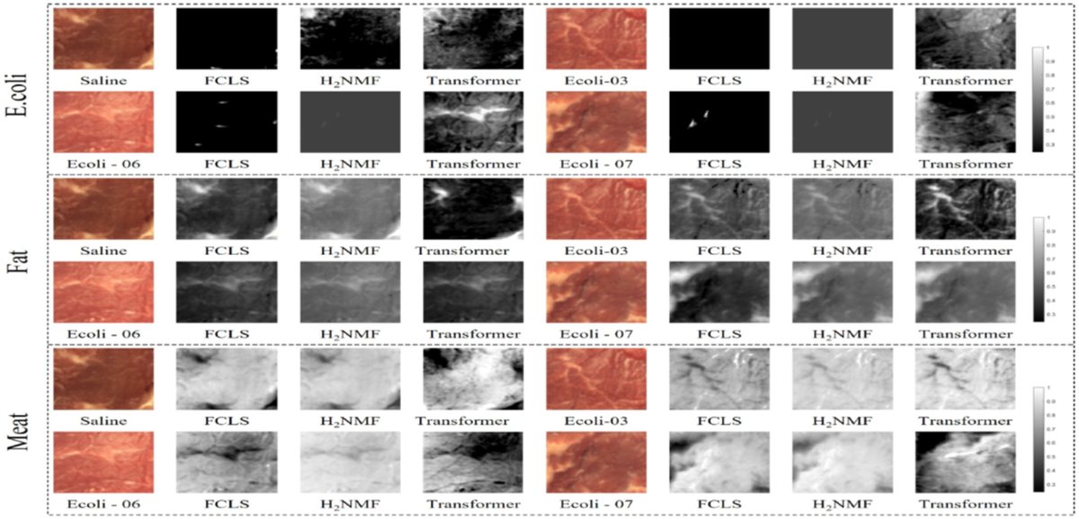 Grid of steak hyperspectral images and abundance maps from classical and deep unmixing methods for E. coli, fat and meat